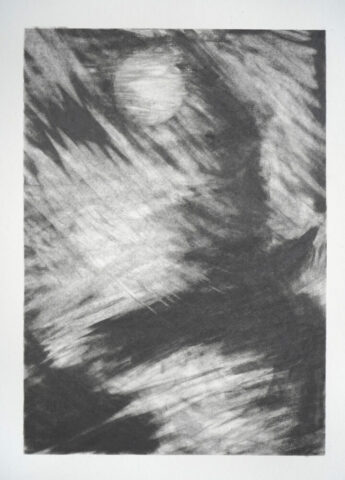 Sturmvogel 1, ca. 25cm x 18cm, Graphit auf Papier