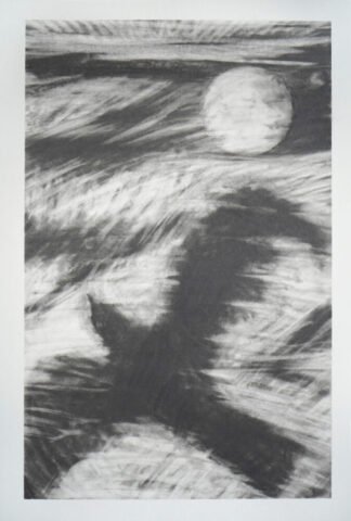 Sturmvogel 2, ca. 25cm x 18cm, Graphit auf Papier