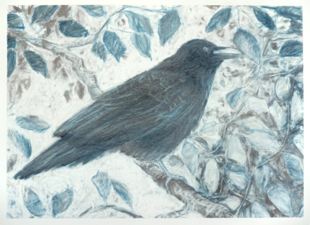 O.T., Graphit auf Papier, 52cm x 76cm
